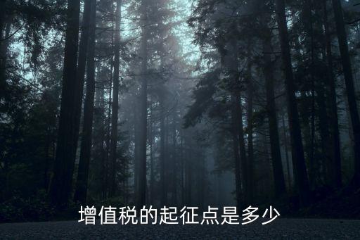 增值稅的起征點是多少