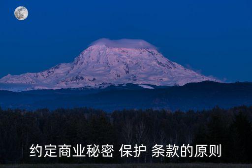 保護(hù)條款,民法典虛擬財(cái)產(chǎn)保護(hù)條款