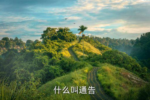什么叫通告
