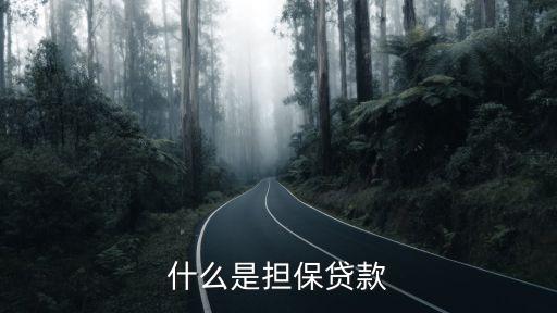 擔保貸，擔保貸款是什么