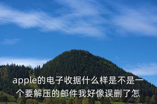 apple的電子收據(jù)什么樣是不是一個(gè)要解壓的郵件我好像誤刪了怎