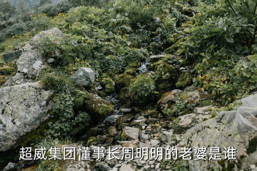 超威集團(tuán)懂事長(zhǎng)周明明的老婆是誰