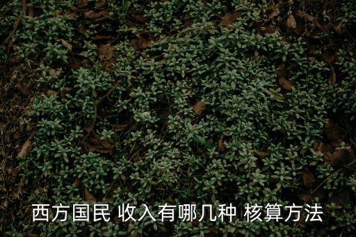 收入核算,營業(yè)收入核算