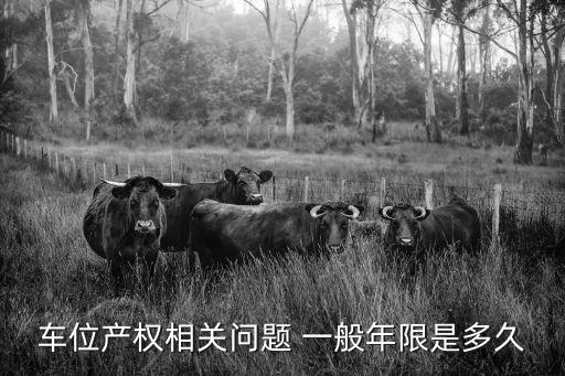 車位產(chǎn)權(quán)相關(guān)問題 一般年限是多久
