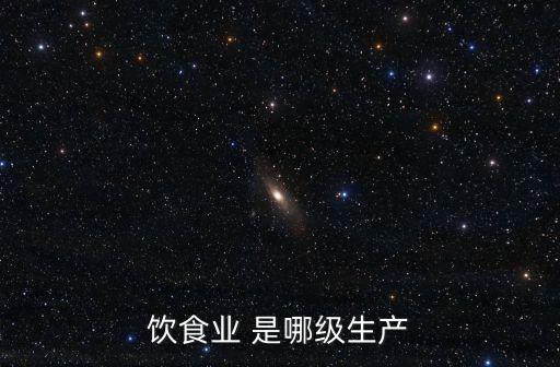 飲食業(yè) 是哪級生產(chǎn)