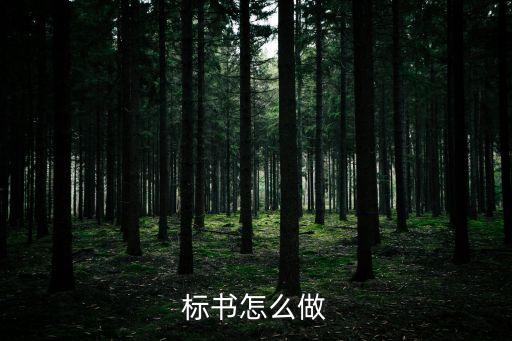 做標(biāo)書，什么叫做做標(biāo)書啊