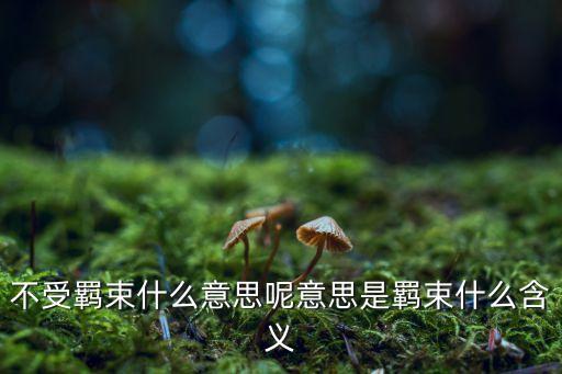 不受羈束什么意思呢意思是羈束什么含義