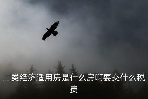 二類經(jīng)濟(jì)適用房是什么房啊要交什么稅費