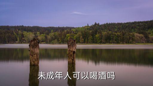 未成年喝酒，未成年人可以喝酒嗎