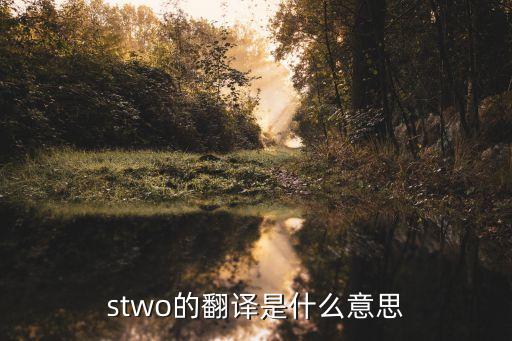 stowed，貿(mào)易術(shù)語Fob stowed是什么意思