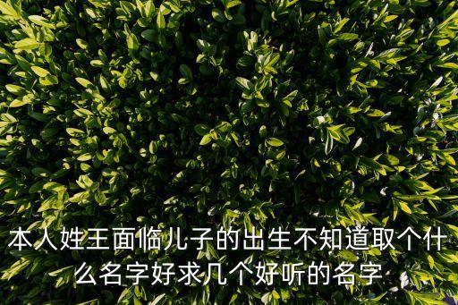 本人姓王面臨兒子的出生不知道取個什么名字好求幾個好聽的名字