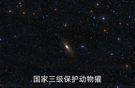 豬獾子是幾級保護(hù)動物，獾子是不是國家保護(hù)動物