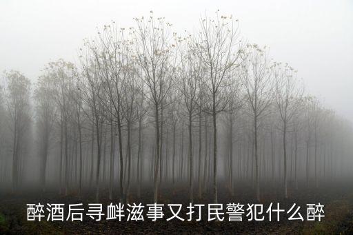 醉酒后尋釁滋事又打民警犯什么醉