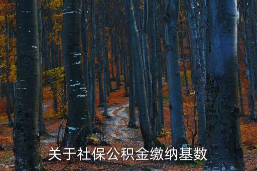 關(guān)于社保公積金繳納基數(shù)
