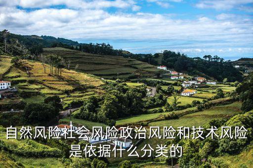 自然風(fēng)險(xiǎn)，自然風(fēng)險(xiǎn)社會(huì)風(fēng)險(xiǎn)政治風(fēng)險(xiǎn)和技術(shù)風(fēng)險(xiǎn)是依據(jù)什么分類的