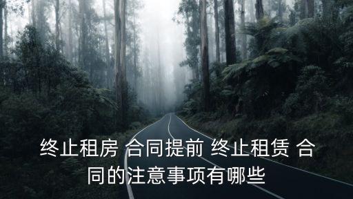  終止租房 合同提前 終止租賃 合同的注意事項(xiàng)有哪些