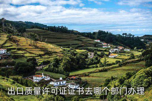 出口質(zhì)量許可證證書去哪個部門辦理