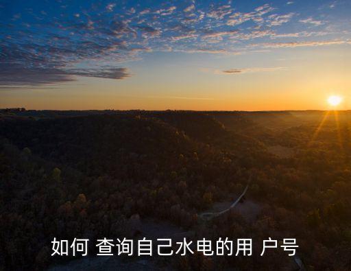 電費(fèi)戶號(hào)查詢,怎樣查電費(fèi)戶號(hào)查詢