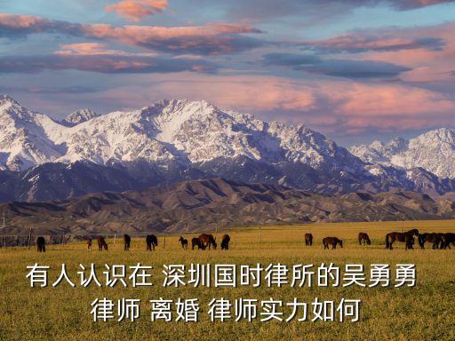 有人認識在 深圳國時律所的吳勇勇 律師 離婚 律師實力如何
