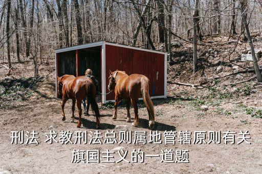 旗國主義，卍代表什么意思