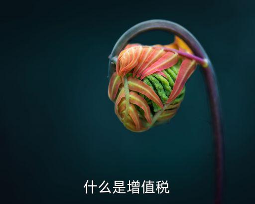 什么是增值稅