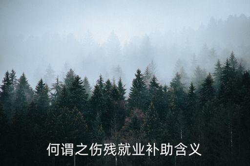 傷殘就業(yè)補助金，一次性傷殘就業(yè)補助金指的是什么