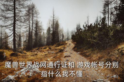 游戲賬號是什么,和平精英游戲賬號是什么
