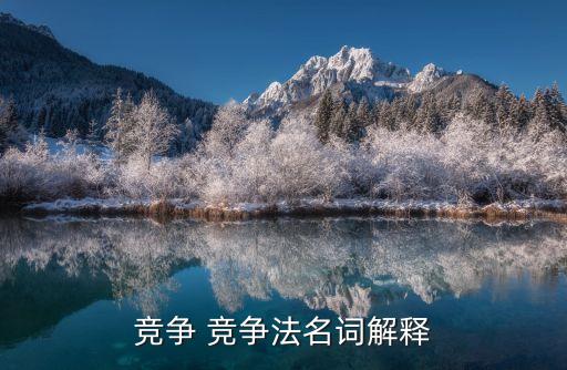 競爭 競爭法名詞解釋