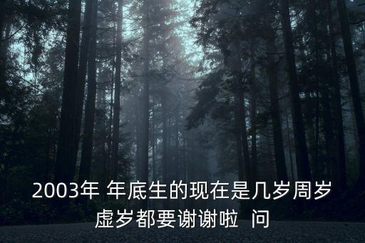 2003年 年底生的現(xiàn)在是幾歲周歲虛歲都要謝謝啦  問