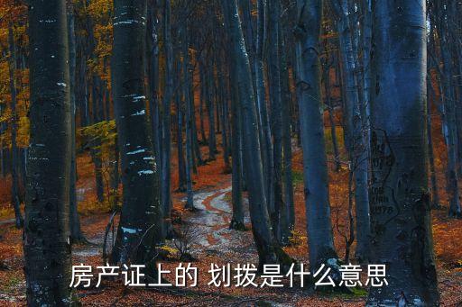 房產(chǎn)證上的 劃撥是什么意思