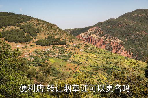  便利店 轉(zhuǎn)讓煙草證可以更名嗎