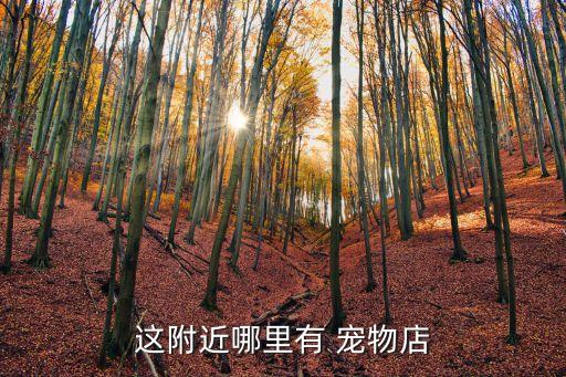 這附近哪里有 寵物店