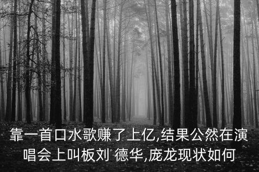 靠一首口水歌賺了上億,結果公然在演唱會上叫板劉 德華,龐龍現狀如何