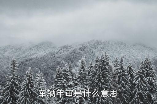 車輛年審是什么意思