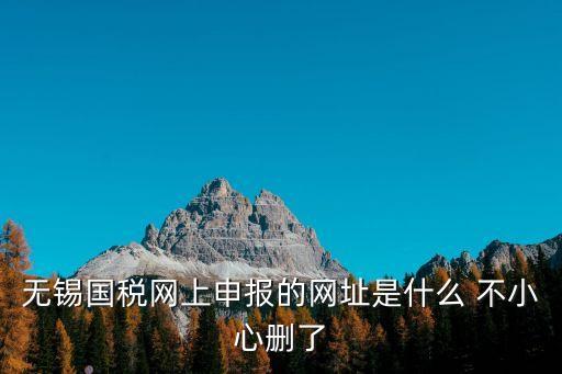 無錫國稅網(wǎng)上申報(bào)，無錫國稅網(wǎng)上申報(bào)的網(wǎng)址是什么 不小心刪了