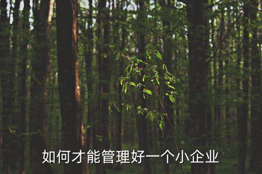 如何才能管理好一個(gè)小企業(yè)