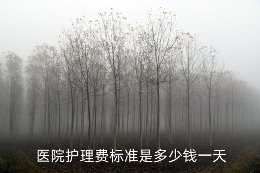 醫(yī)院護(hù)工一般多少錢一天,長沙醫(yī)院護(hù)工一般多少錢一天