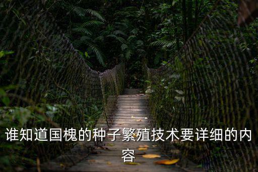 誰知道國槐的種子繁殖技術要詳細的內容