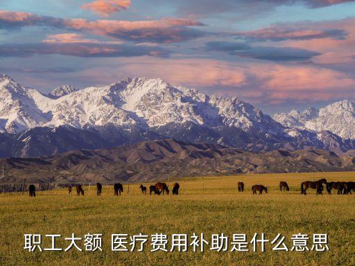 醫(yī)療補(bǔ)助費(fèi),患病解除合同6個(gè)月醫(yī)療補(bǔ)助費(fèi)