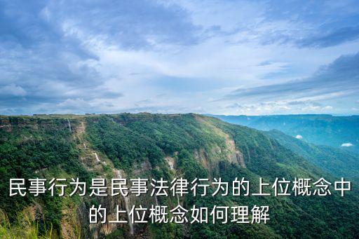 上位概念，求助什么是上位概念什么是下位概念