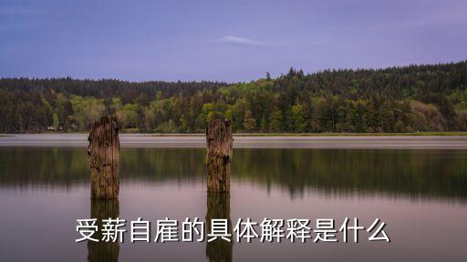 受薪自雇的具體解釋是什么