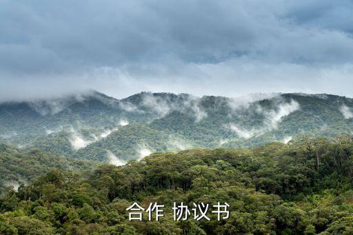 工作合作協(xié)議書合同,合作協(xié)議書合同的法律效力