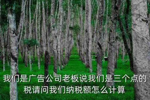 我們是廣告公司老板說我們是三個點的稅請問我們納稅額怎么計算