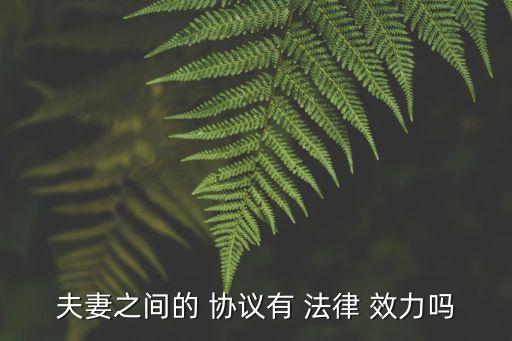 婚后協(xié)議有法律效力嗎,簽了協(xié)議一方反悔怎么辦