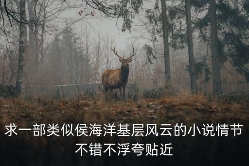求一部類似侯海洋基層風云的小說情節(jié)不錯不浮夸貼近