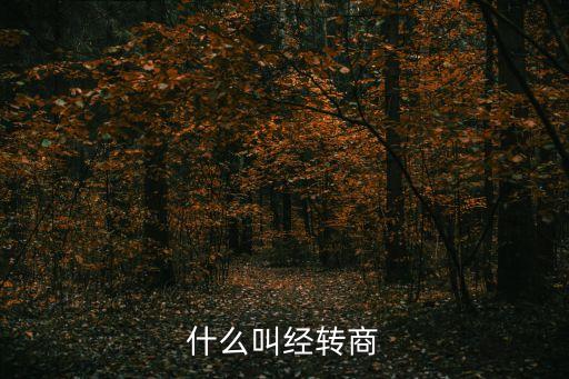 經轉商，經轉商五年是怎么計算的