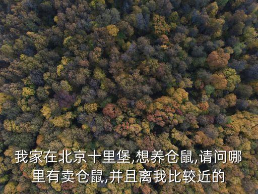 離我最近的寵物店