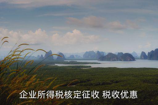 企業(yè)所得稅核定征收 稅收優(yōu)惠
