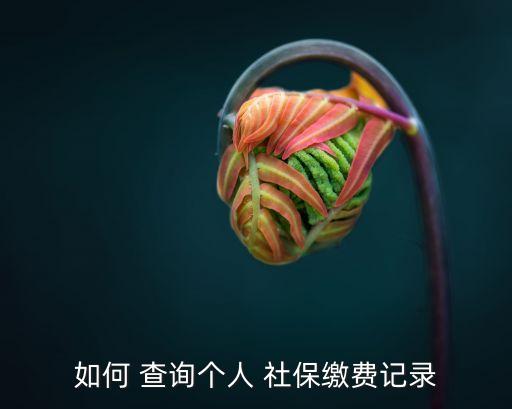 社保明細(xì)怎么查詢,公司幫忙交的社保明細(xì)怎么查詢