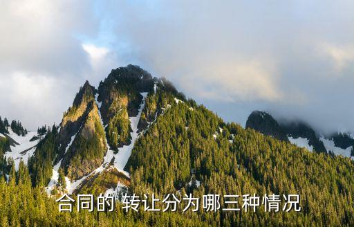 無(wú)效合同可以轉(zhuǎn)讓嗎,轉(zhuǎn)讓無(wú)效合同行為的效力